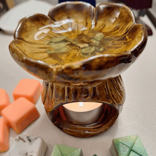 WAX MELT CAMPOS DE LAVANDA