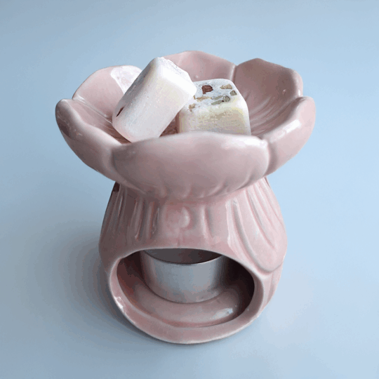 WAX MELT CAMPOS DE ROMERO