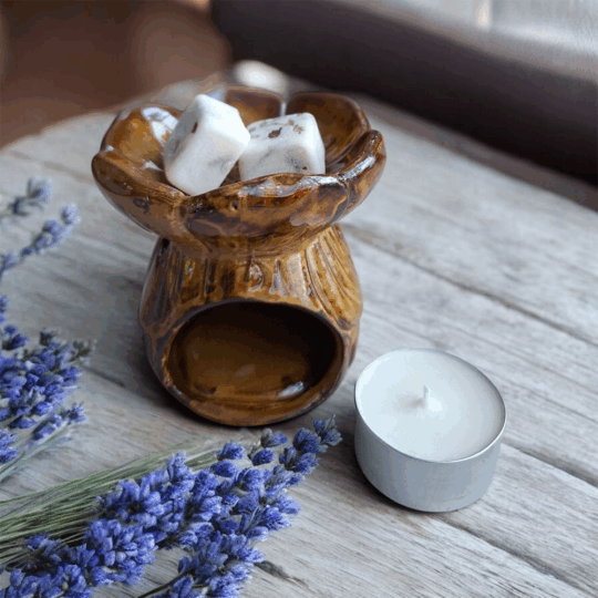 WAX MELT LAVANDA INTENSA