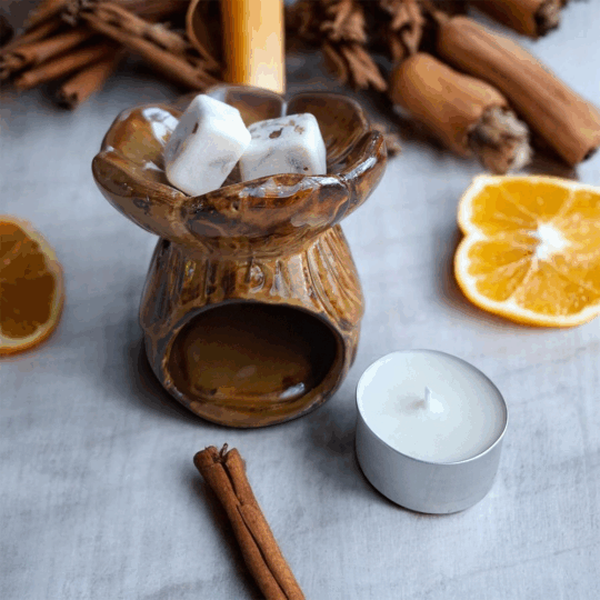 WAX MELT NOCHES DE INVIERNO O CARAMELO DE NARANJA