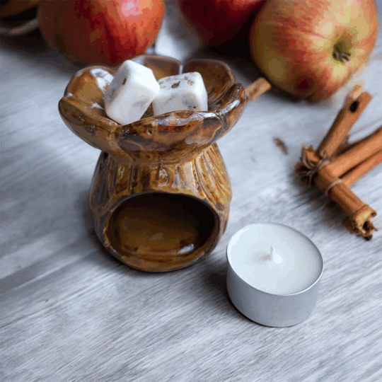 WAX MELT PROTECCIÓN Y GRATITUD