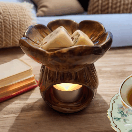 WAX MELT BOSQUE DE CEDROS