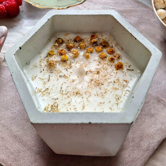 TARRO HEXAGONAL DE CEMENTO FLOR DE MANZANILLA